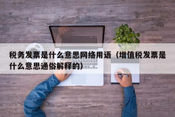 税务发票是什么意思网络用语（增值税发票是什么意思通俗解释的）