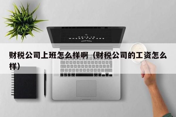 财税公司上班怎么样啊（财税公司的工资怎么样）