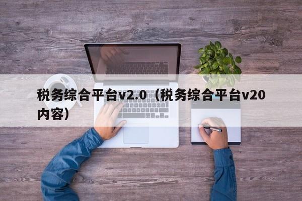 税务综合平台v2.0（税务综合平台v20内容）