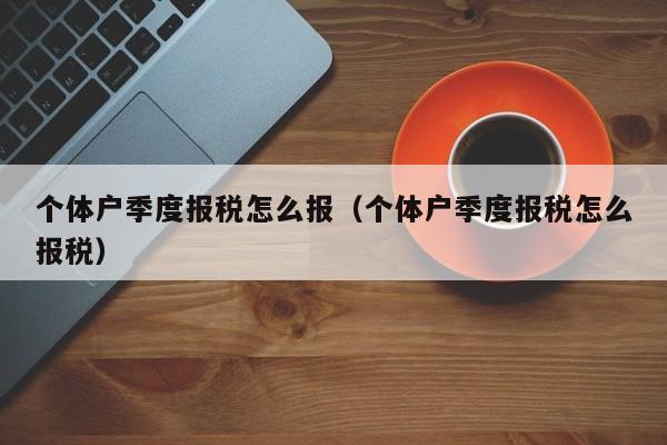 个体户季度报税怎么报（个体户季度报税怎么报税）