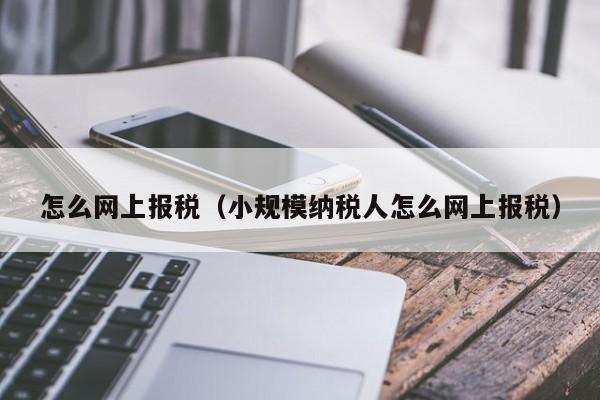 怎么网上报税（小规模纳税人怎么网上报税）