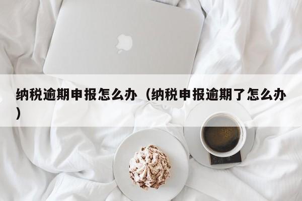 纳税逾期申报怎么办（纳税申报逾期了怎么办）