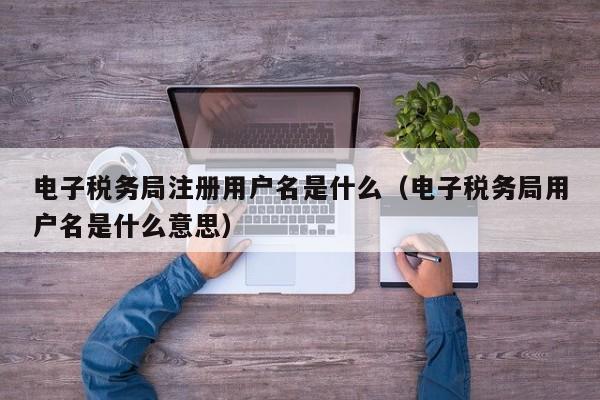 电子税务局注册用户名是什么（电子税务局用户名是什么意思）