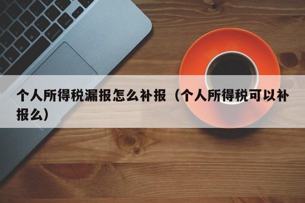 个人所得税漏报怎么补报（个人所得税可以补报么）