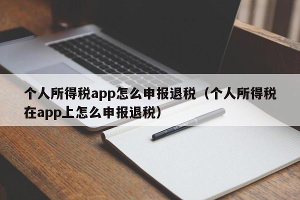 个人所得税app怎么申报退税（个人所得税在app上怎么申报退税）