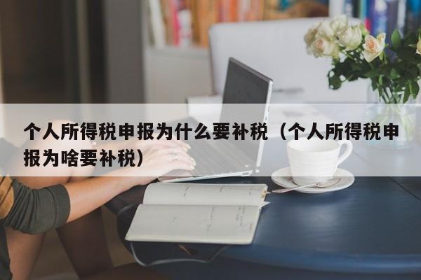 个人所得税申报为什么要补税（个人所得税申报为啥要补税）