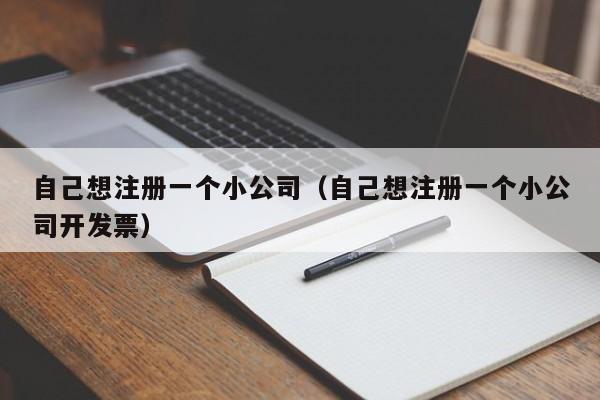 自己想注册一个小公司（自己想注册一个小公司开发票）