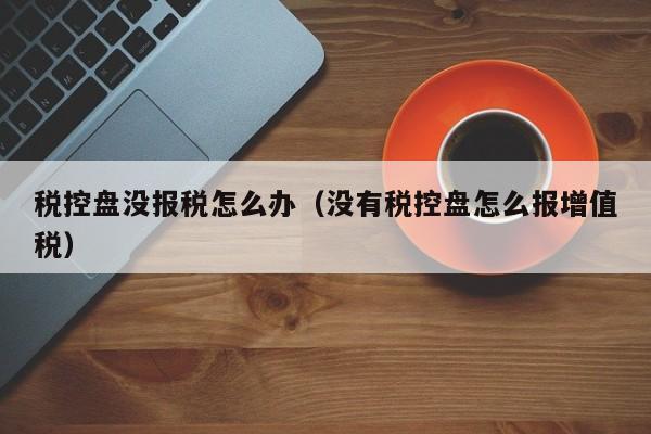 税控盘没报税怎么办（没有税控盘怎么报增值税）