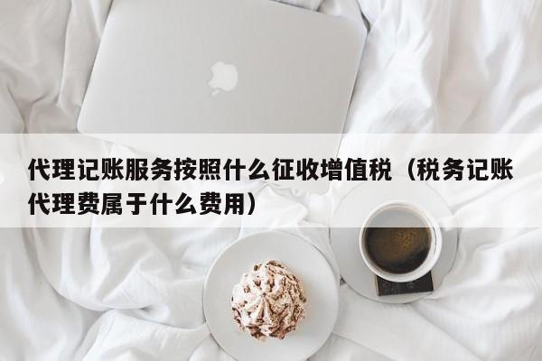 代理记账服务按照什么征收增值税（税务记账代理费属于什么费用）