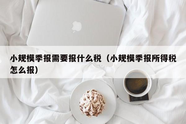 小规模季报需要报什么税（小规模季报所得税怎么报）