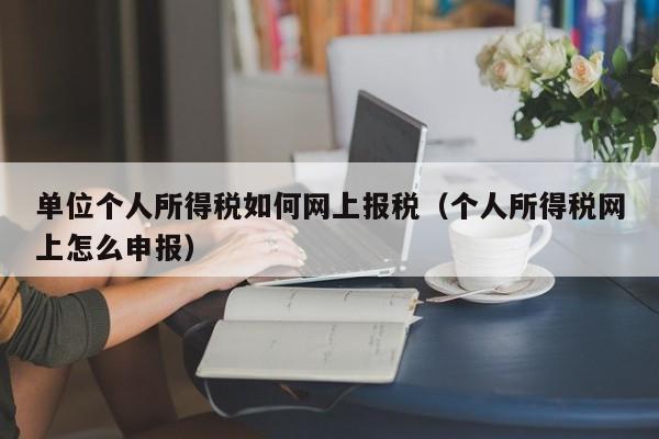 单位个人所得税如何网上报税（个人所得税网上怎么申报）