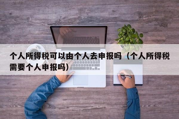 个人所得税可以由个人去申报吗（个人所得税需要个人申报吗）