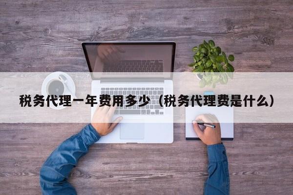 税务代理一年费用多少（税务代理费是什么）