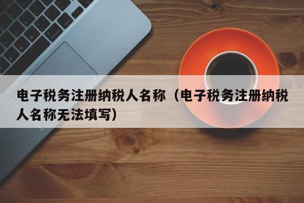 电子税务注册纳税人名称（电子税务注册纳税人名称无法填写）