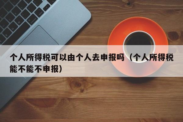 个人所得税可以由个人去申报吗（个人所得税能不能不申报）