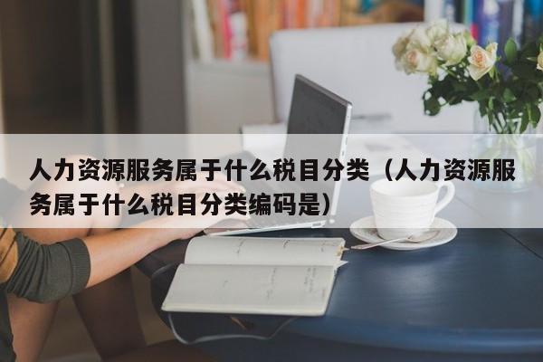 人力资源服务属于什么税目分类（人力资源服务属于什么税目分类编码是）