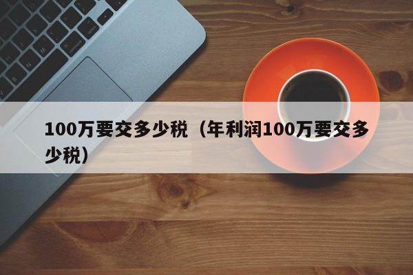 100万要交多少税（年利润100万要交多少税）