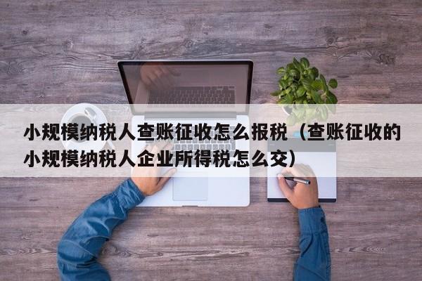 小规模纳税人查账征收怎么报税（查账征收的小规模纳税人企业所得税怎么交）