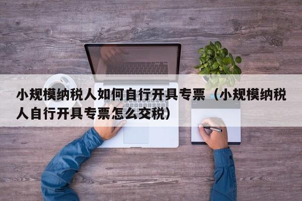 小规模纳税人如何自行开具专票（小规模纳税人自行开具专票怎么交税）