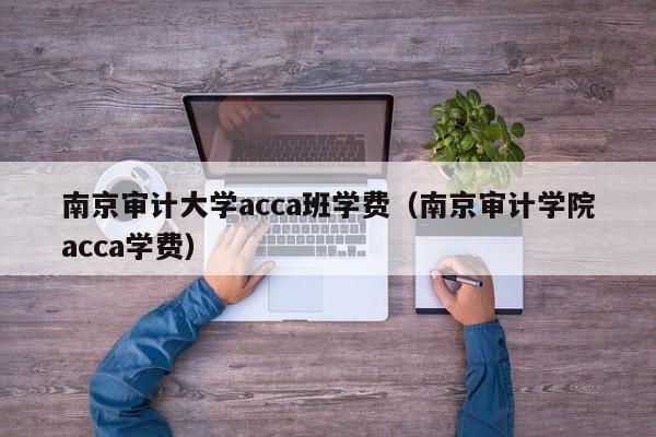 南京审计大学acca班学费（南京审计学院acca学费）