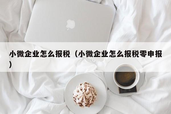 小微企业怎么报税（小微企业怎么报税零申报）