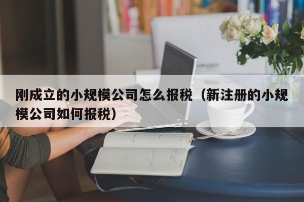 刚成立的小规模公司怎么报税（新注册的小规模公司如何报税）