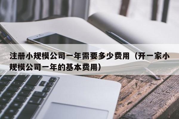 注册小规模公司一年需要多少费用（开一家小规模公司一年的基本费用）