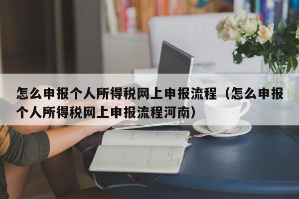 怎么申报个人所得税网上申报流程（怎么申报个人所得税网上申报流程河南）