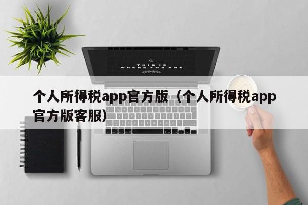 个人所得税app官方版（个人所得税app官方版客服）