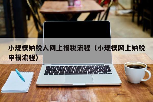 小规模纳税人网上报税流程（小规模网上纳税申报流程）