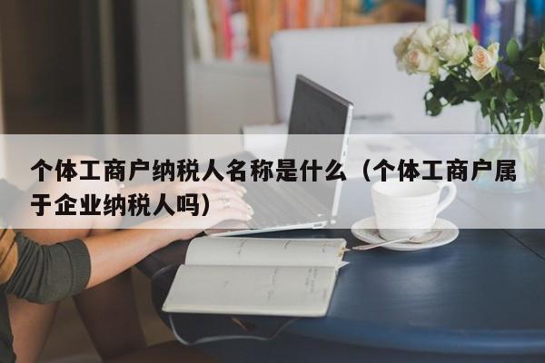 个体工商户纳税人名称是什么（个体工商户属于企业纳税人吗）