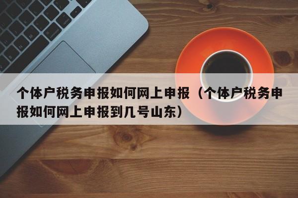 个体户税务申报如何网上申报（个体户税务申报如何网上申报到几号山东）