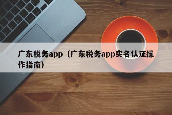 广东税务app（广东税务app实名认证操作指南）