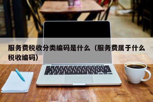 服务费税收分类编码是什么（服务费属于什么税收编码）