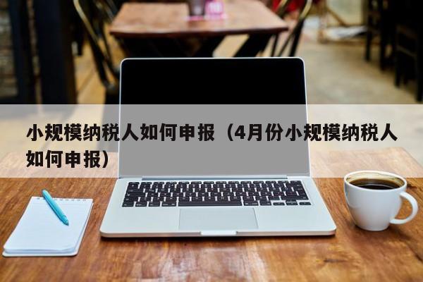 小规模纳税人如何申报（4月份小规模纳税人如何申报）