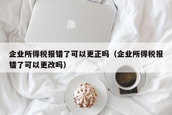 企业所得税报错了可以更正吗（企业所得税报错了可以更改吗）