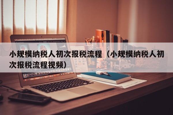 小规模纳税人初次报税流程（小规模纳税人初次报税流程视频）