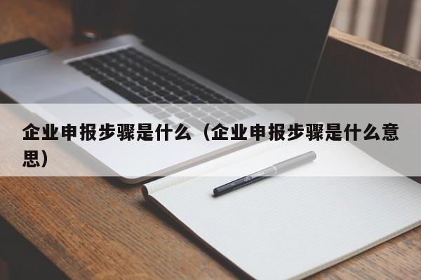 企业申报步骤是什么（企业申报步骤是什么意思）