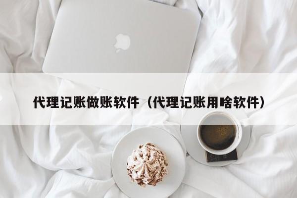 代理记账做账软件（代理记账用啥软件）