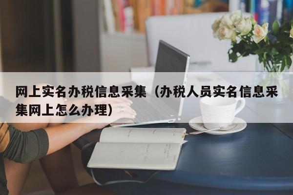 网上实名办税信息采集（办税人员实名信息采集网上怎么办理）