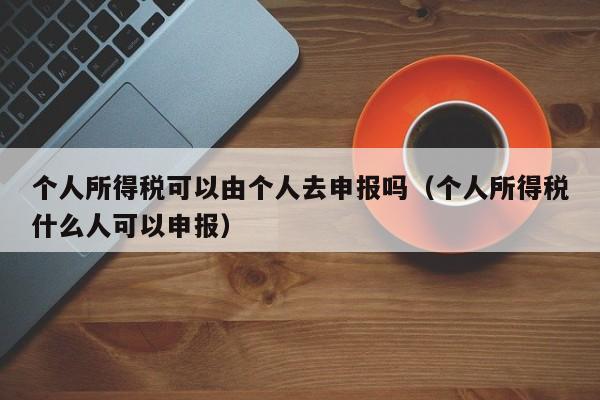 个人所得税可以由个人去申报吗（个人所得税什么人可以申报）