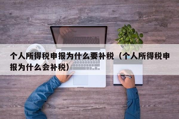 个人所得税申报为什么要补税（个人所得税申报为什么会补税）