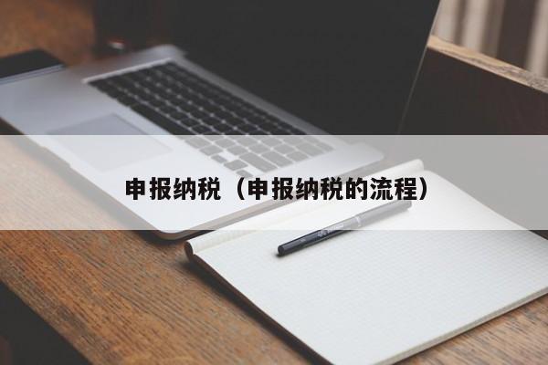 申报纳税（申报纳税的流程）