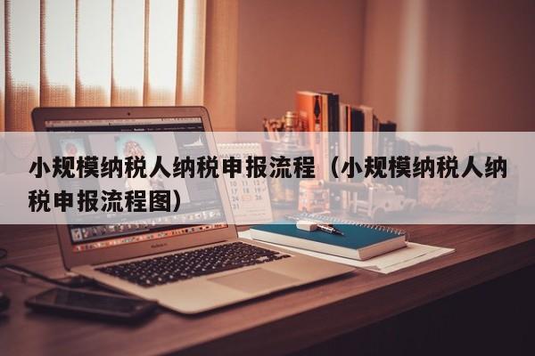 小规模纳税人纳税申报流程（小规模纳税人纳税申报流程图）