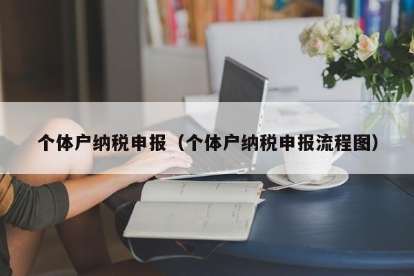 个体户纳税申报（个体户纳税申报流程图）