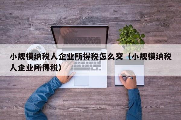 小规模纳税人企业所得税怎么交（小规模纳税人企业所得税）