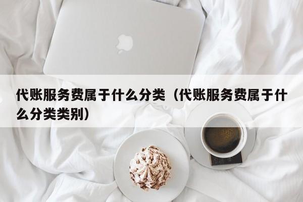 代账服务费属于什么分类（代账服务费属于什么分类类别）