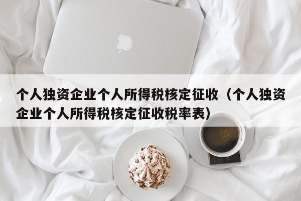 个人独资企业个人所得税核定征收（个人独资企业个人所得税核定征收税率表）