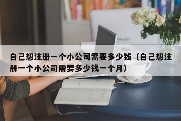 自己想注册一个小公司需要多少钱（自己想注册一个小公司需要多少钱一个月）