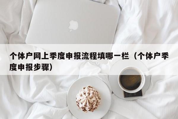 个体户网上季度申报流程填哪一栏（个体户季度申报步骤）